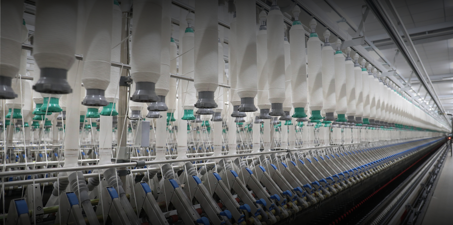 Textile & Printing